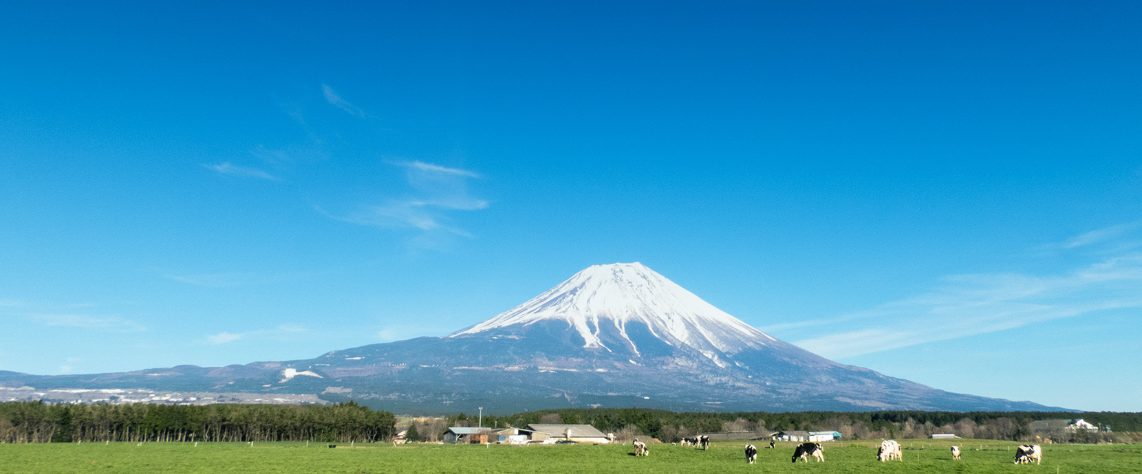 食中毒発生情報 一般社団法人静岡県食品衛生協会